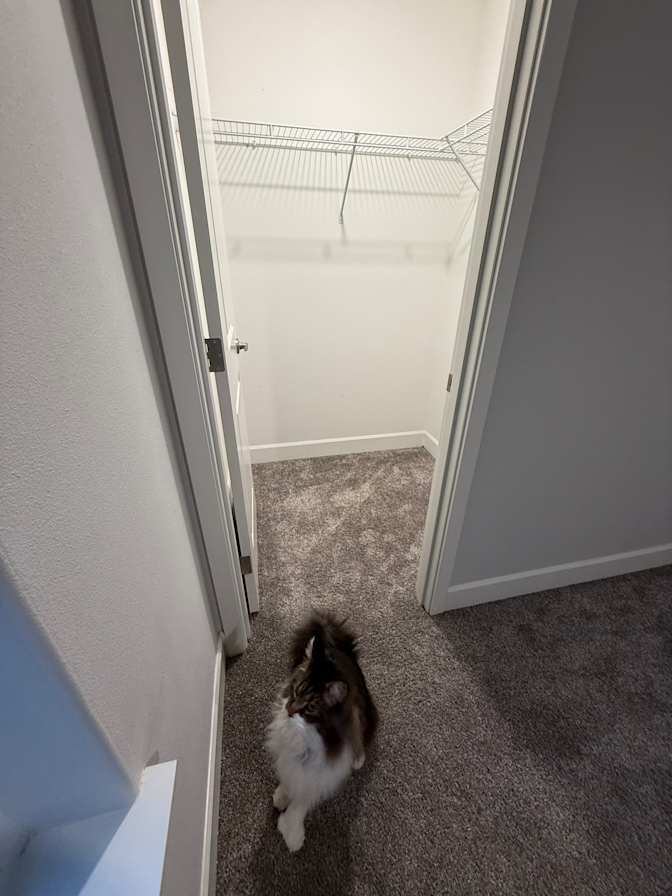 Ashley strange's room