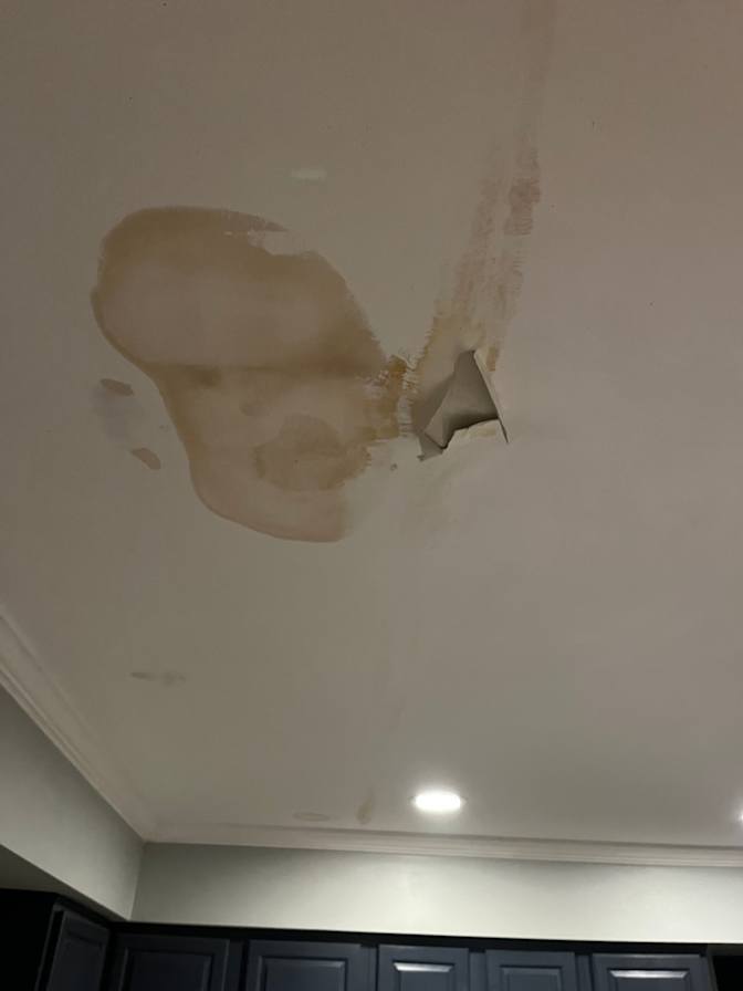 Adam's room