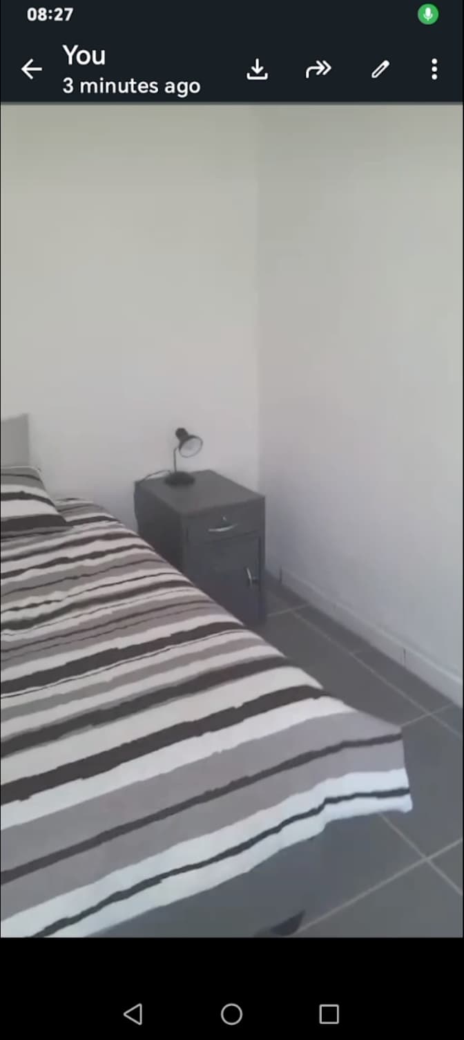 Sharky bester's room