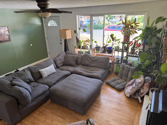 Dana's room
