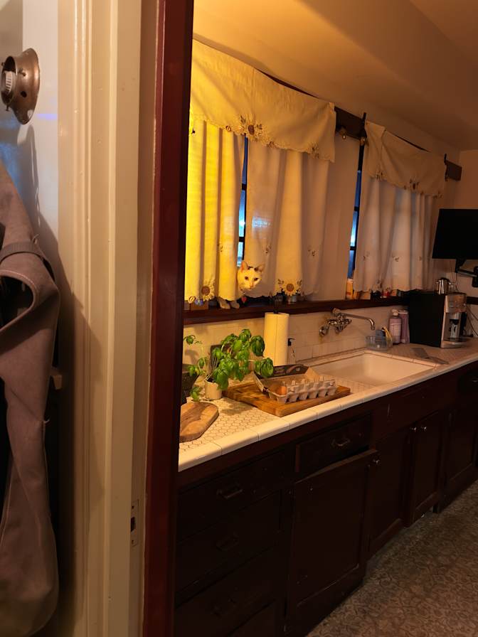 Matt's room