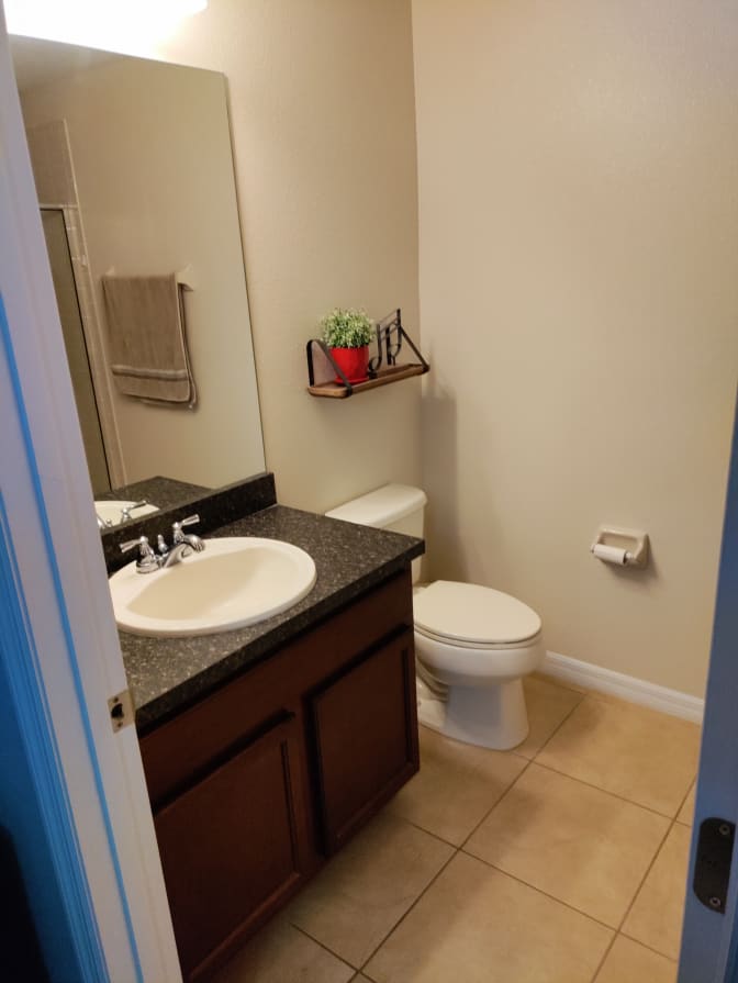 Dennis Room's room