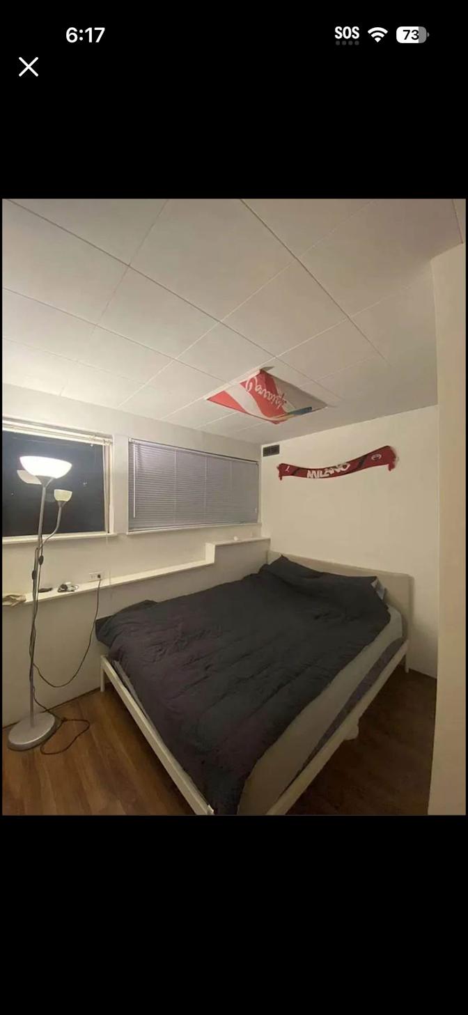 Schneider's room