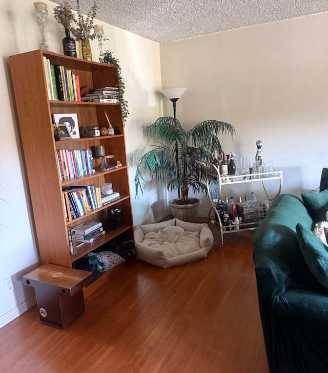 Dana's room