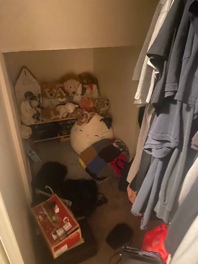 Maddi's room