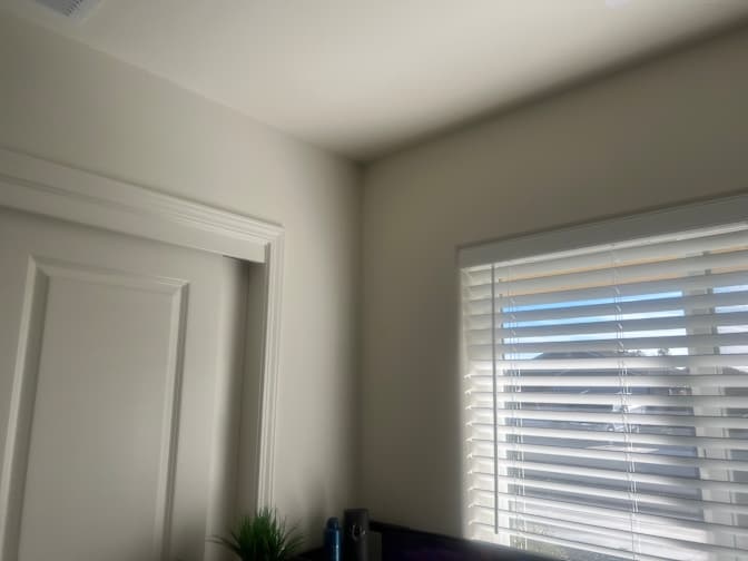 Lily's room