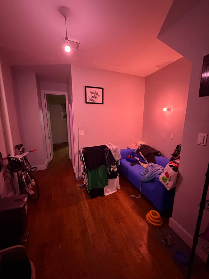 Aleksey's room