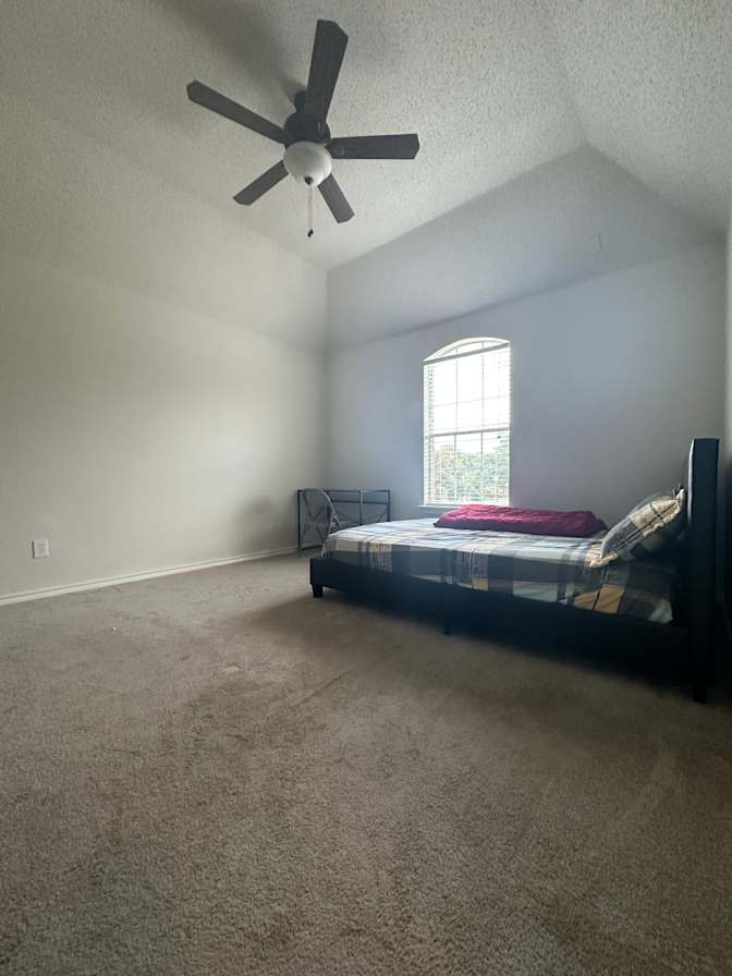Paulina phuong nguyen's room