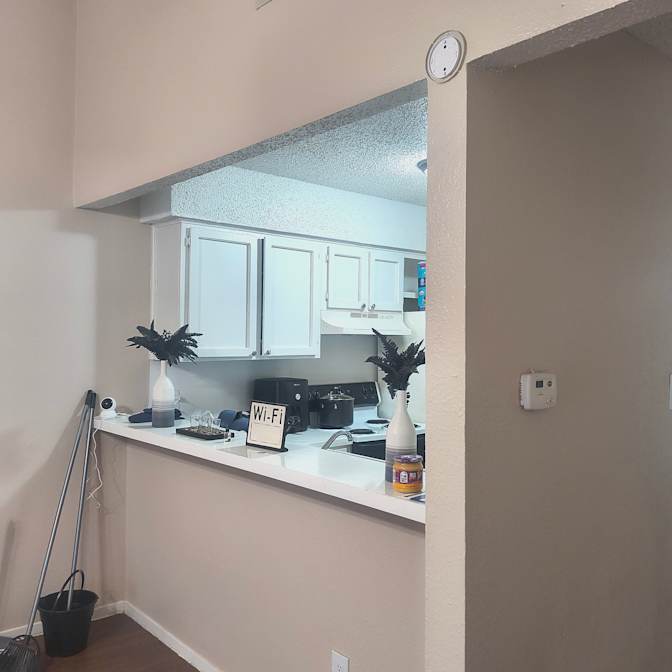 Shelton's room