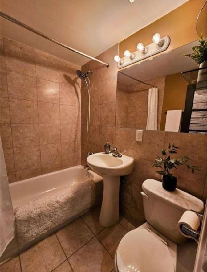 Vladimir P.'s room