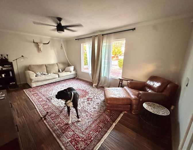 Zoe Smith's room