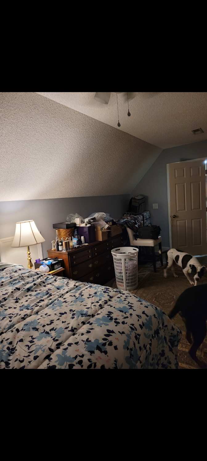 Tracy's room