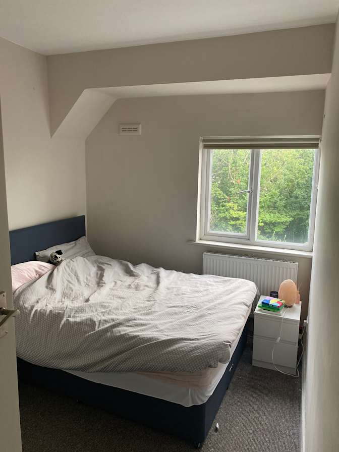 Faiza's room