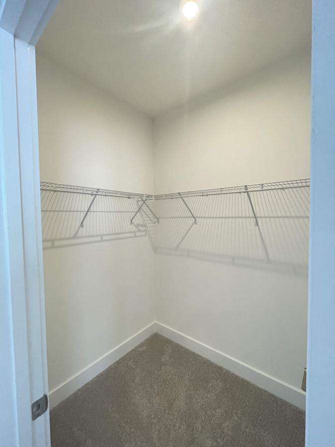 Zeyu's room