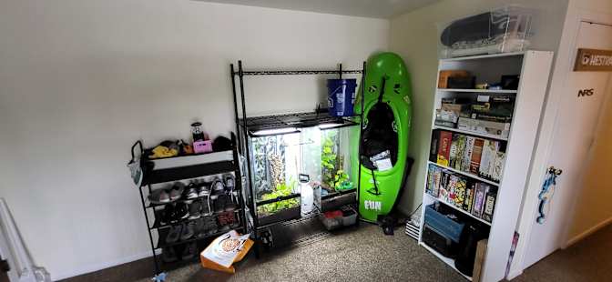 Stephen John's room
