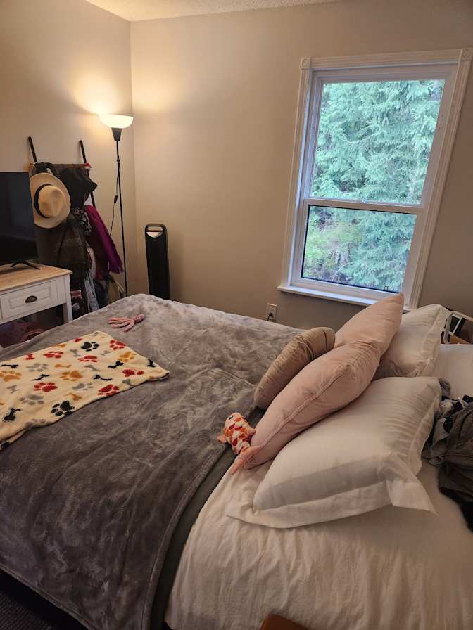 Jeff's room