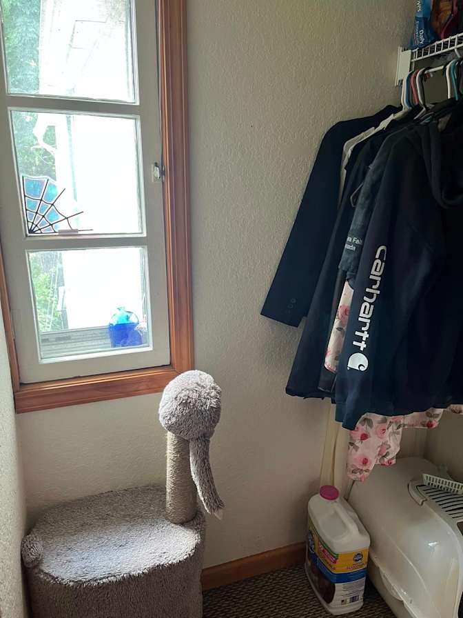 Ash's room