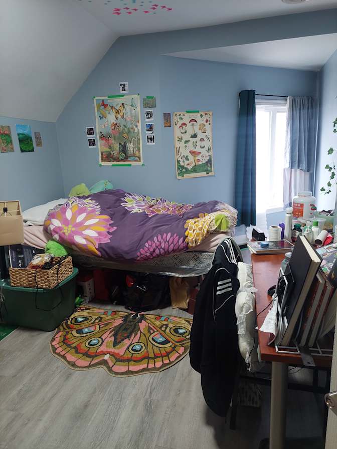 Caroline's room