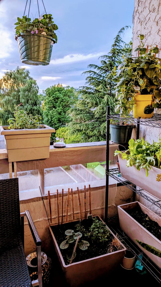 Shannon Henson's room