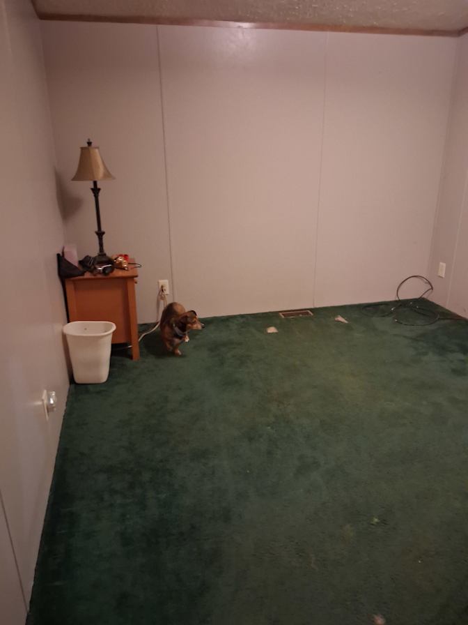 kimberly sadek's room