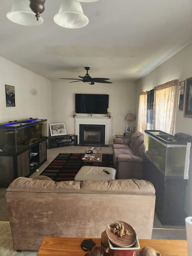 Paul's room