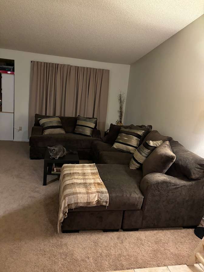 Kelly's room