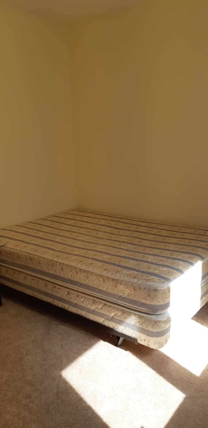 Shaheen's room