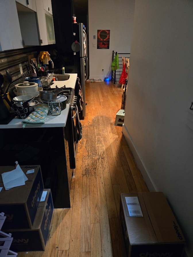 Alex Bellina's room