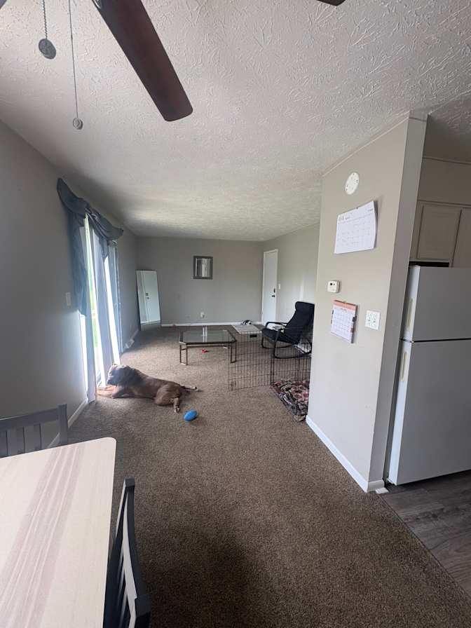 Ashley's room