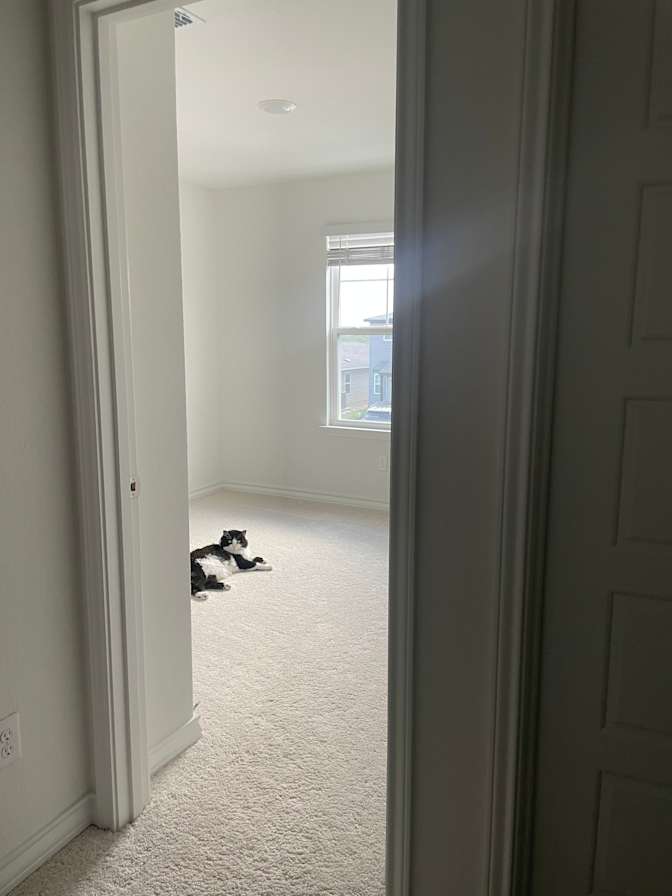 Makayla's room