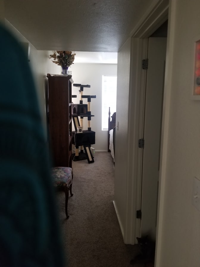 Linda's room