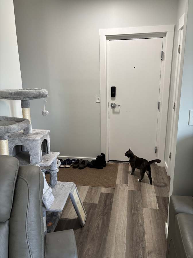 Andrew Dedon's room