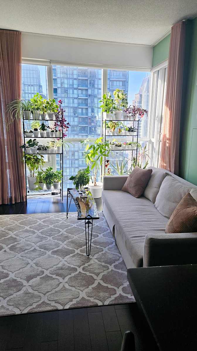 Vik's room