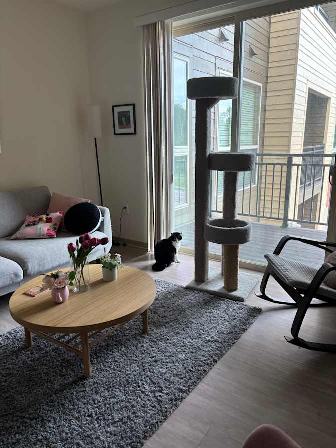 Lila's room