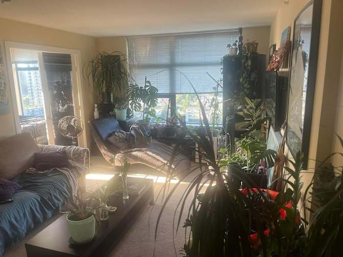 Richard Romano Carlsen's room