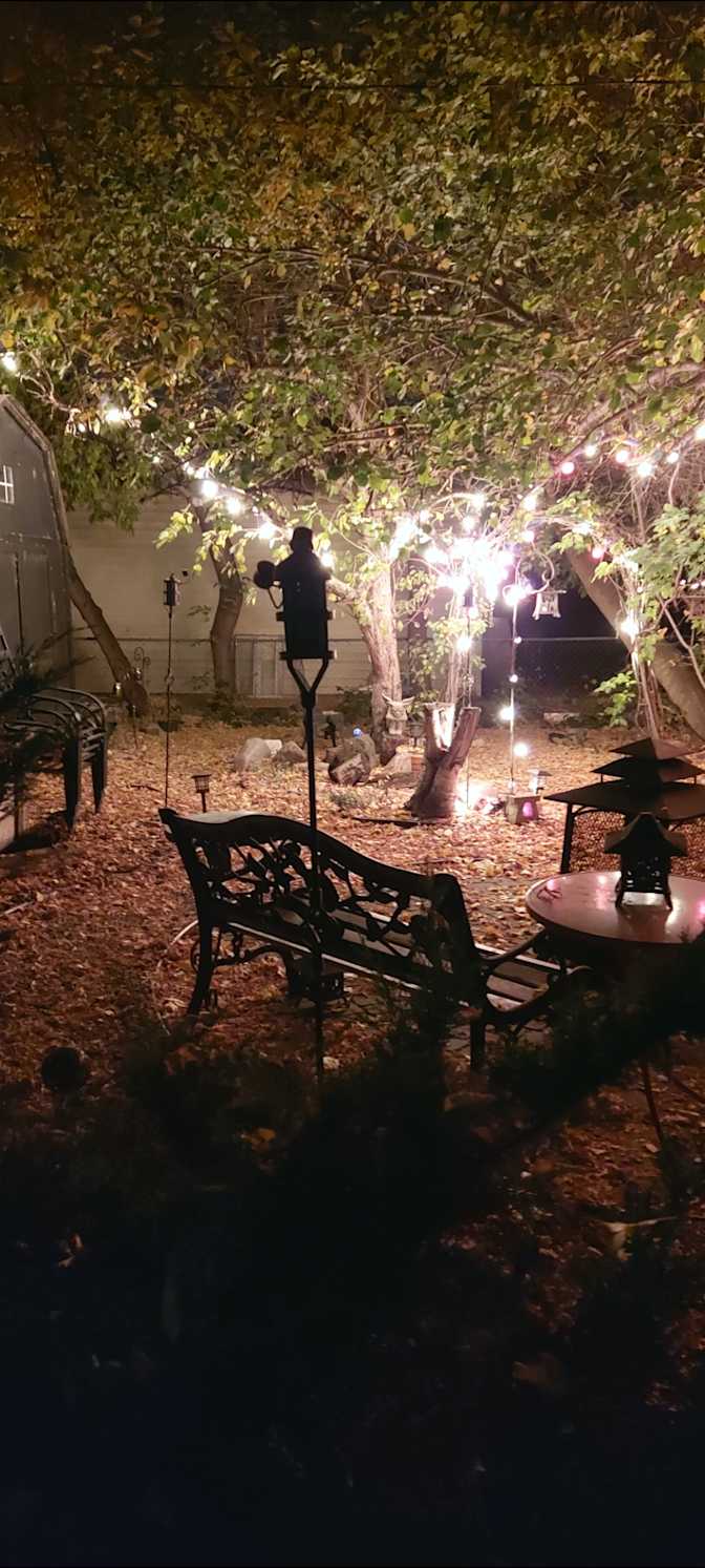 Ryschell Dragunov's room