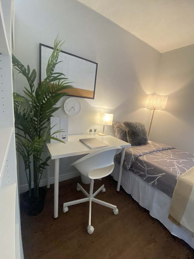 Mahmut Aga's room