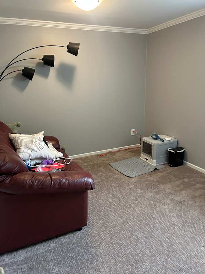 Abby Toplis's room