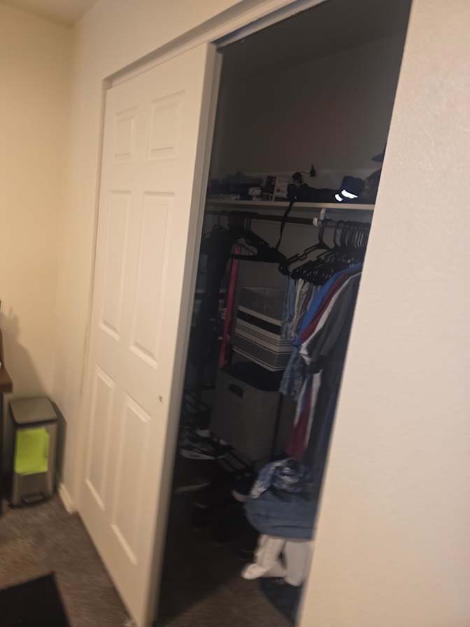 tiyler ranivan temple smith's room