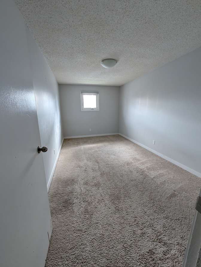 Dessi's room