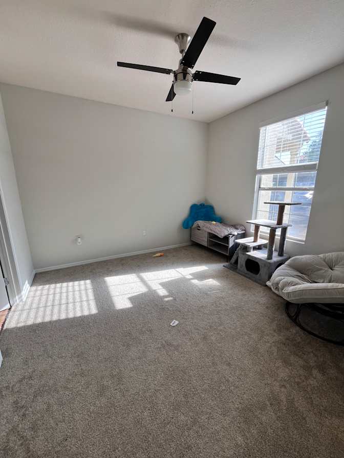 Kai Hayes's room