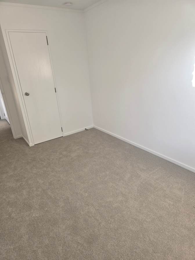 Shane's room