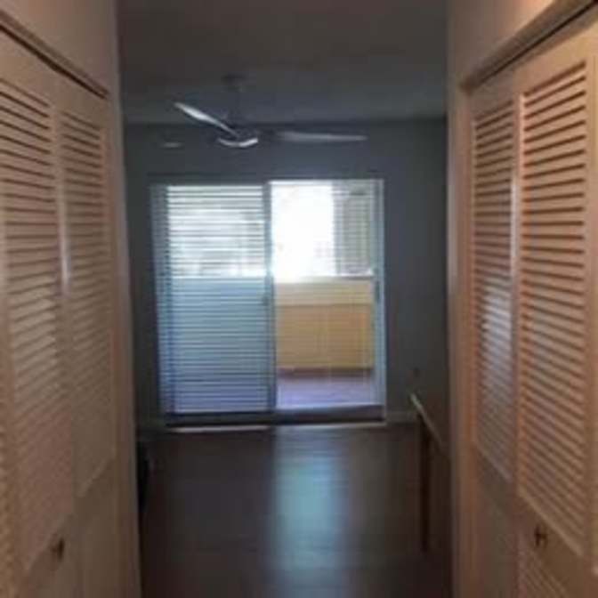 Sofia's room
