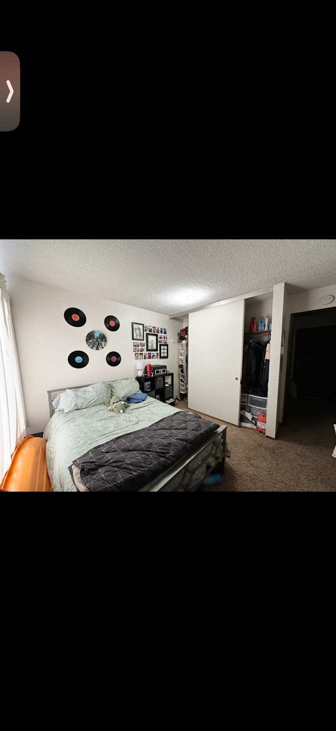Lily's room