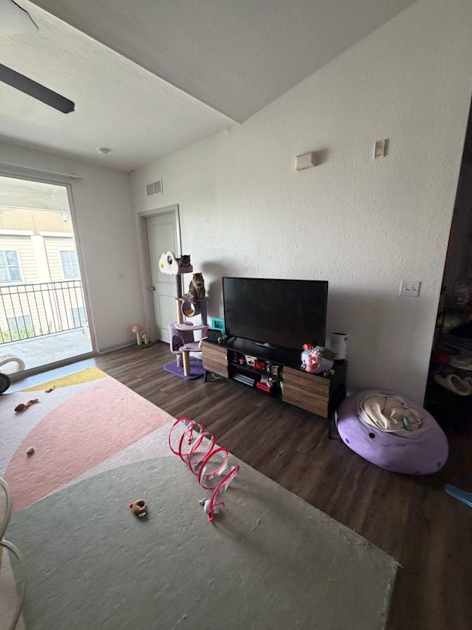 Sofia's room