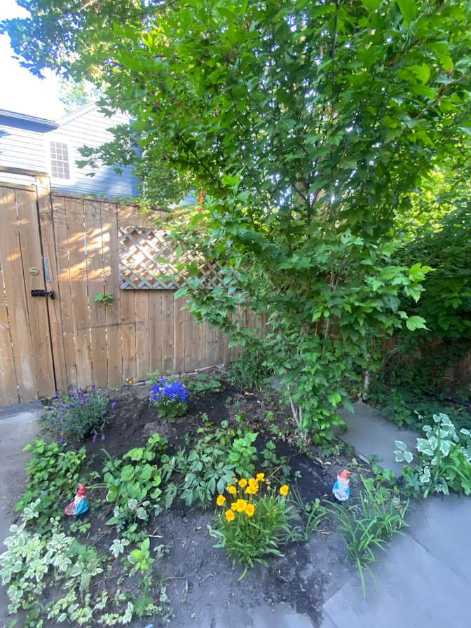 Holly Clausius's room