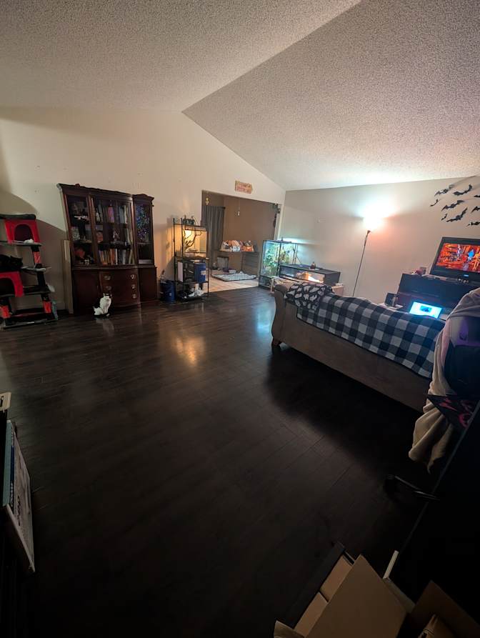 Makayla J Nelson's room