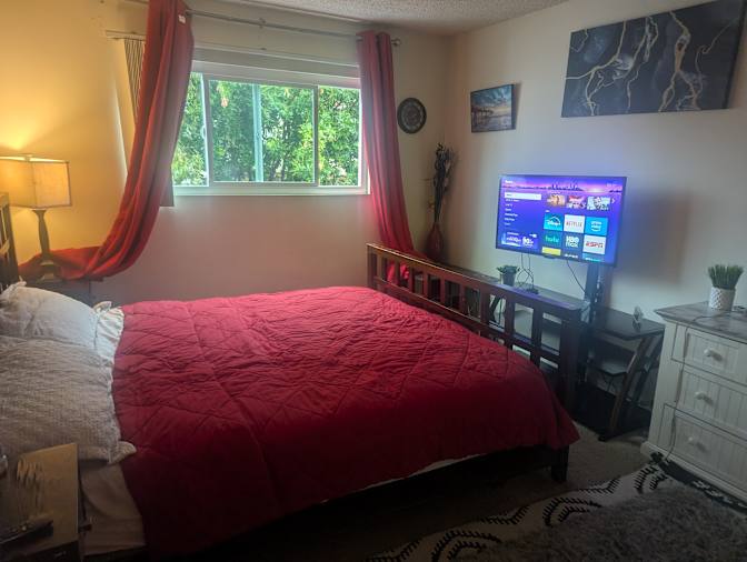 Leonardo's room