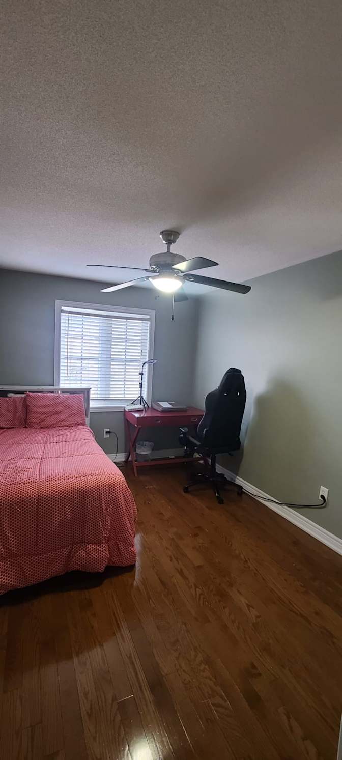 Alicia's room