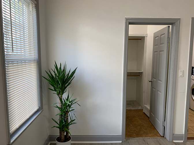 Studio's room